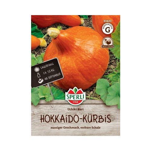 Hokaido buča Uchiki Kuri Cene