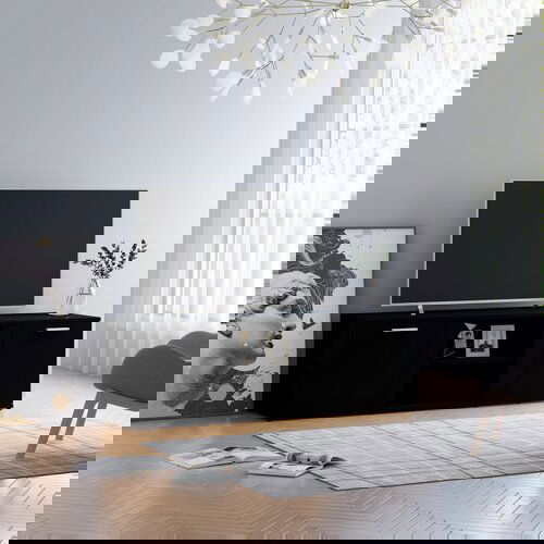VidaXL TV omarica črna 120x34x37 cm iverna plo&amp;scaron;ča, (20622550) Slike