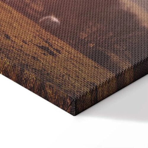  Slika - Sheep in Mountain Landscape (1-part) - Animals in Nature 120x80 Standard Cene