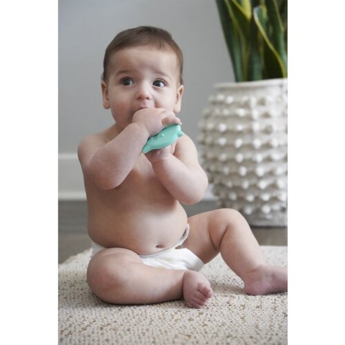 Melii Teethers grizalo Dino &amp;amp; Shark 2 kos Slike