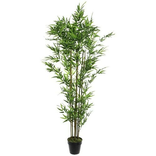  Umjetna biljka Bambus (Visina: 180 cm, Zelene boje, Plastika, Promjer: 60 cm) Slike