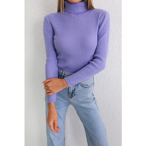 BİKELİFE Women's Lilac Lycra Flexible Neck Knitwear Sweater Slike