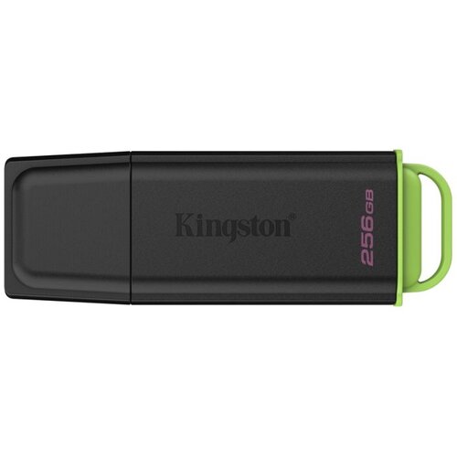  USB Memory stick Kingston 256GB, USB3.2,... Cijene