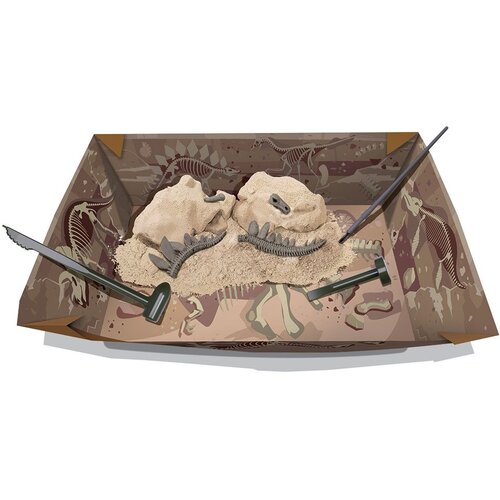 4m Iskopaj skelet dinosaurusa Triceratopsa 03228 Slike