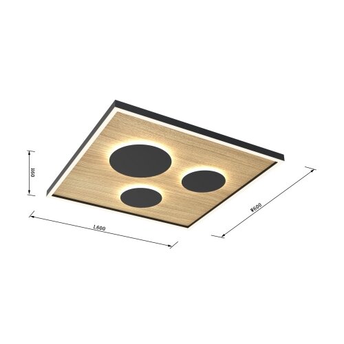 Wofi 9012-306L - LED prigu&amp;scaron;iva stropna svetiljka DIJON LED/40W/230V Slike