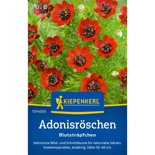 KIEPENKERL Pheasant's eye "kapljice krvi" - 1 pkt. Cene