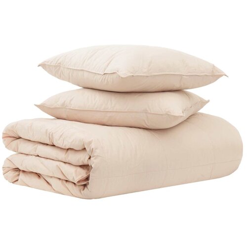  Set deka 2 kom. 200 x 220 cm 250 gsm Prirodni kapok Bež - 200 x 220 cm 30 x 50 cm Cene