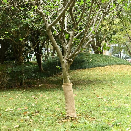 VidaXL Rola iz jute 2 kosa 0,5x50 m 100 % juta 200 g/m&amp;sup2; Slike