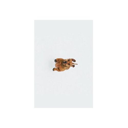 Conceptum Hypnose tepih (120x180) WOOKECE086 Cene