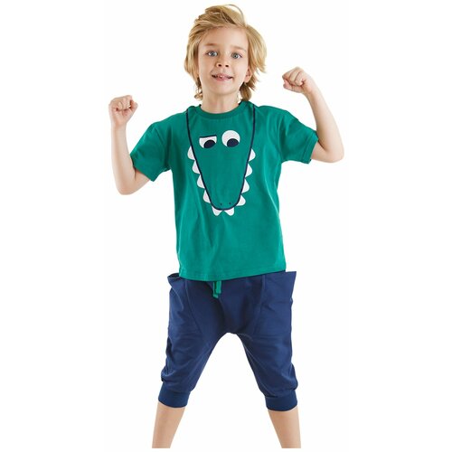 Denokids Funny Crocodile Boy T-shirt Baggy Shorts Set Cene