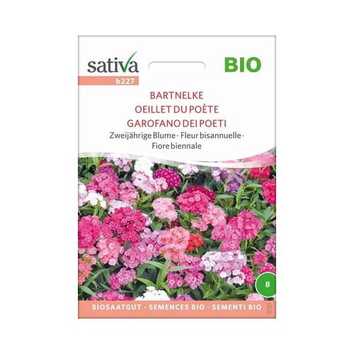 Sativa Bio dvoletni cvet &amp;quot;Tur&amp;scaron;ki nagelj&amp;quot; Slike