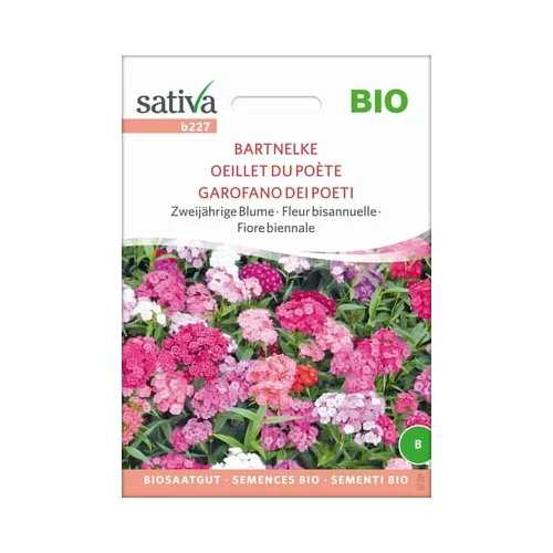 Sativa Bio dvoletni cvet "Turški nagelj"