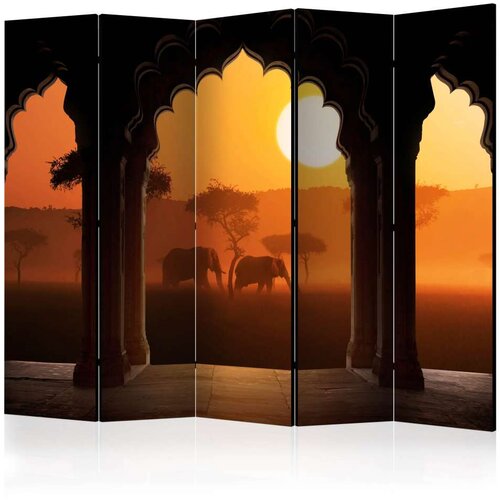 Paravan u 5 dijelova - Hear Africa II [Room Dividers] 225x172 Slike