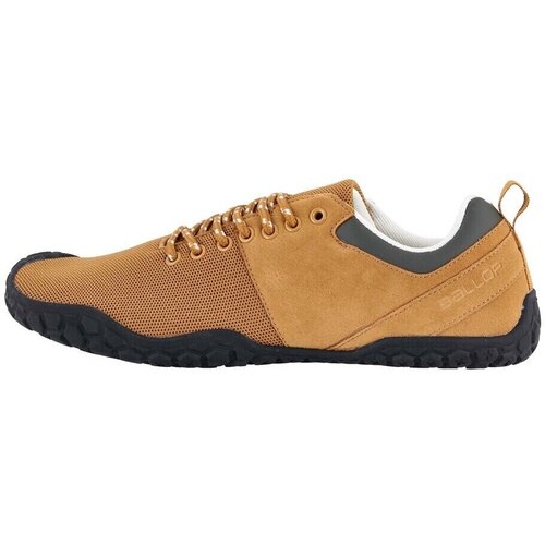 Ballop 8590010xx sarena Slike