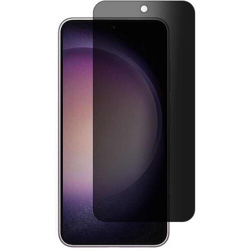 Privacy 30 DEGREE S24 STAKLO SAMSUNG Cijene