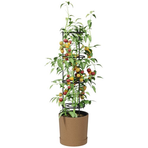  Uzgajivač rajčica Naturo ECO &amp;Oslash; 39 x 139 cm WPC Slike