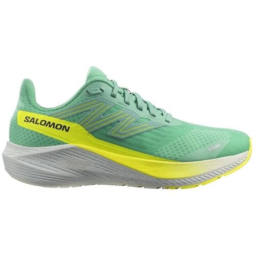 Salomon Aero Blaze W Zelena Cijene