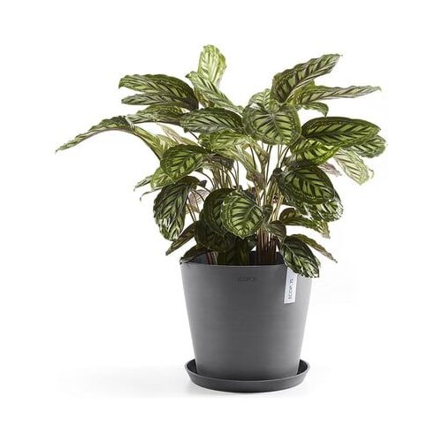 Ecopots Round Coaster - siva - ∅ 28,9, višina 3 cm Cene