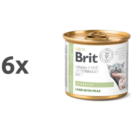 Brit veterinary diet Brit GF Veterinarska dieta za mačke Diabetes, 200g 6 x 200 g Cene