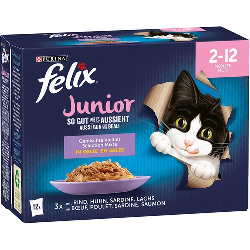 Felix Junior Fantastic "So gut wie es aussieht" - 12 x 85 g - Piletina, govedina, losos, sardine