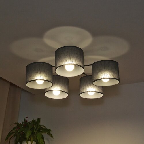  plafonski luster alba 5xE27/15W/230V siv Slike
