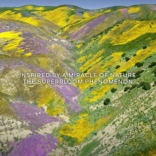 Guerlain Aqua Allegoria Florabloom Forte parfemska voda zamjensko punjenje za žene 200 ml Slike