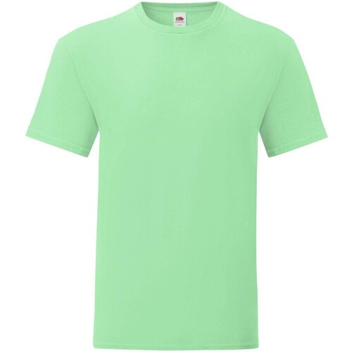 Fruit Of The Loom Men's Mint T-shirt Combed Cotton Iconic Sleeve Cene