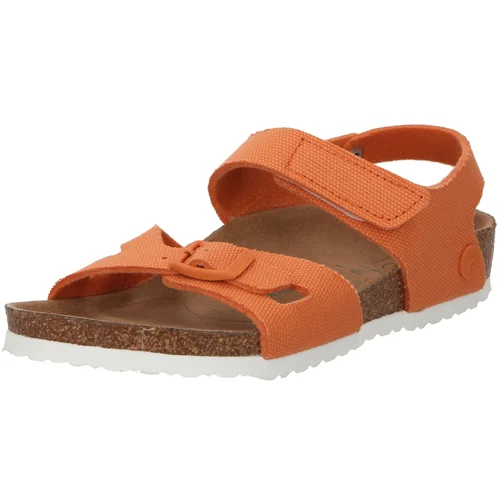 Birkenstock Otvorene cipele 'Colorado Papaya' narančasta