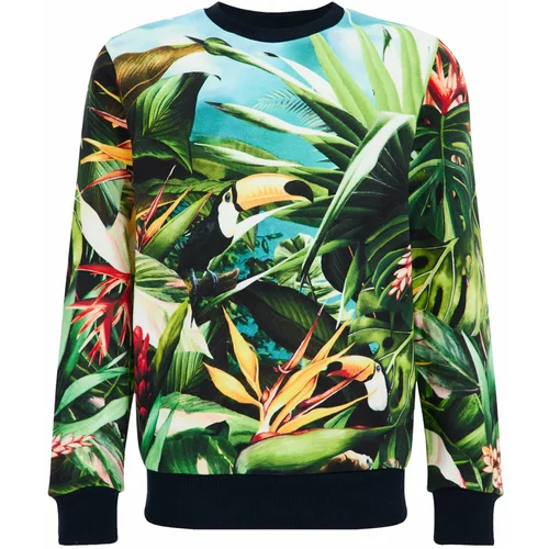 WE Fashion Sweater majica plava / travnato zelena / crna / bijela