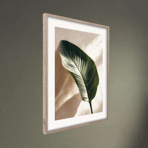 Styler Tiskana slika z okvirjem 50x70 cm Strelizia Leaf &amp;ndash; Slike