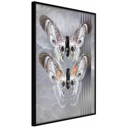  Poster - Two Moths 30x45