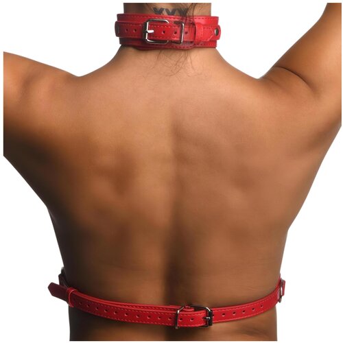Strict Body Harness z ovratnikom (rdeča) - M/L Slike