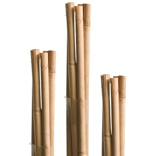 Windhager Oporna palica (0,6 x 60 cm, bambus, 10 kos) Slike