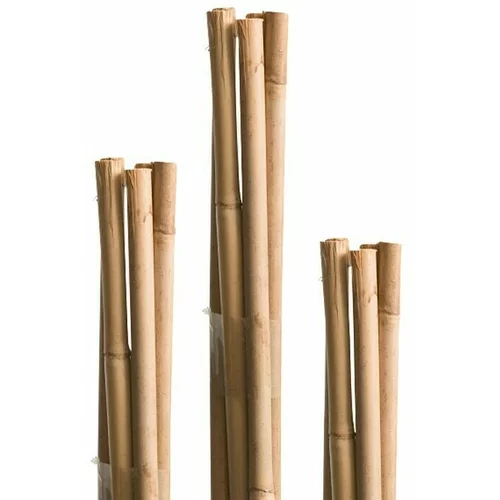 Windhager Oporna palica (0,6 x 60 cm, bambus, 10 kos)