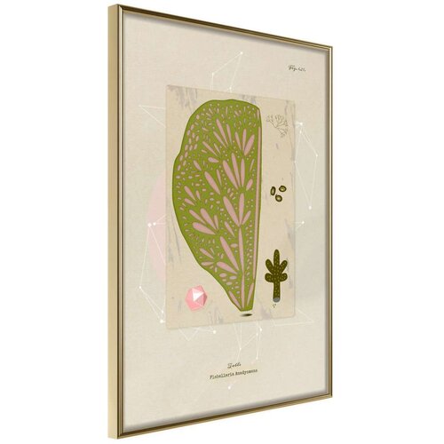  Poster - Cross Section of a Leaf 20x30 Cijene