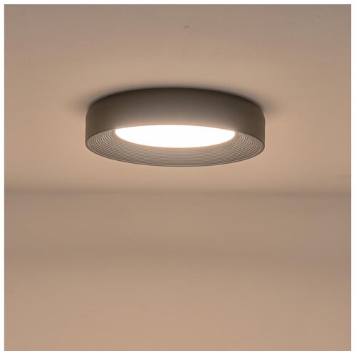  LED plafonsko svetlo MOONLIGHT LED/40W/230V 3000K crno, prečnik 50 cm Cene