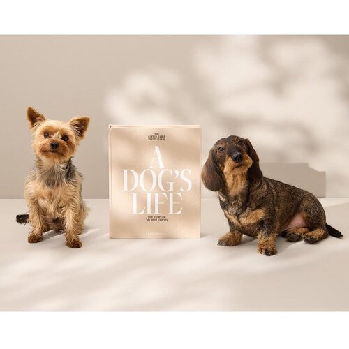 Printworks Foto album A Dog&amp;#039;s Life &amp;ndash; Slike
