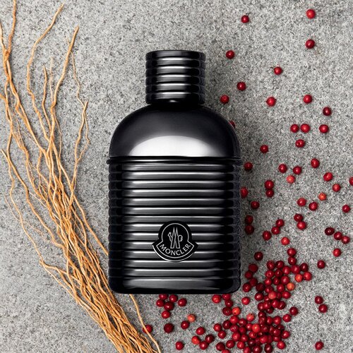 Moncler Pour Homme Sunrise parfumska voda za mo&amp;scaron;ke 100 ml Slike
