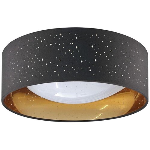  LED plafonsko svetlo TULUZA LED/18W/230V prečnik 32 cm crno Cene
