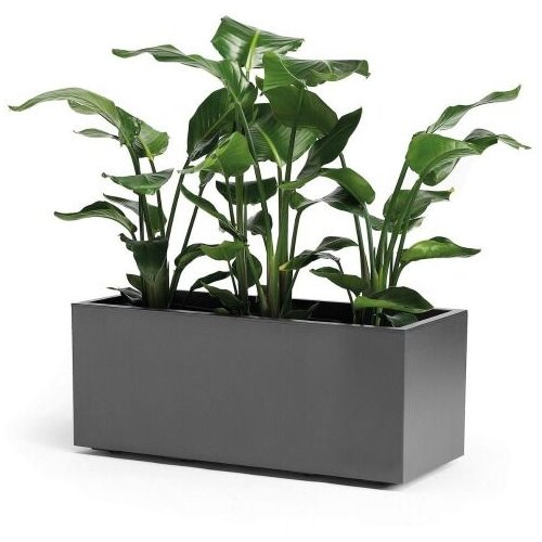 Crafter Kebe žardinjera sa točkićima 100 cm, antracit Cene