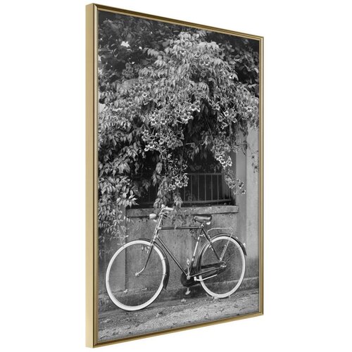  Poster - Bicycle with White Tires 30x45 Slike