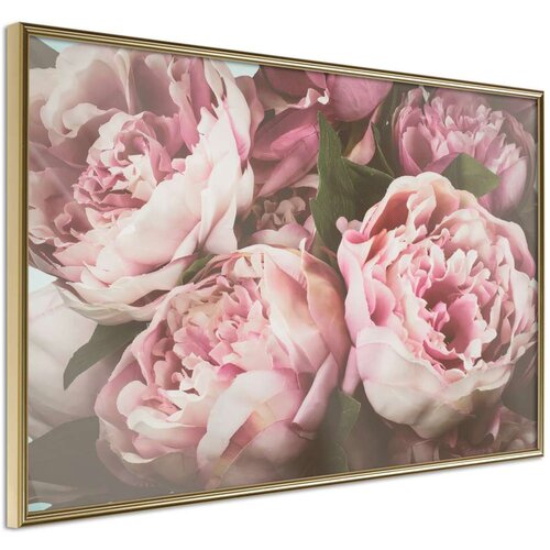  Poster - Pastel Peonies 90x60 Cijene