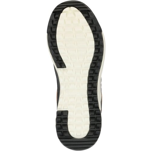 Skechers Gležnarji z vezalkami &amp;#039;YANA&amp;#039; svetlo rjava / črna / bela Slike