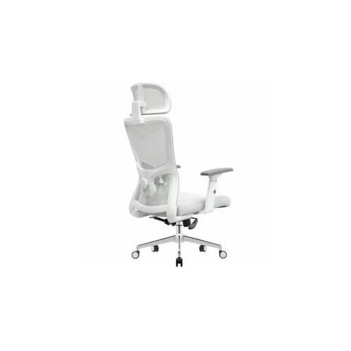UGD Ergonomska kancelarijska stolica Silver Polare Cene
