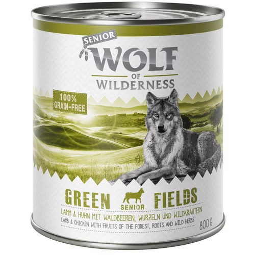 Wolf of Wilderness Varčno pakiranje Senior 24 x 800 g - Green Fields - Jagnjetina
