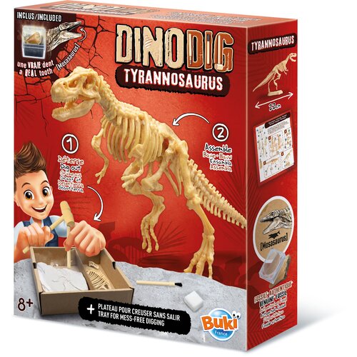 Dino iskopaj skelet - buki 105930 Slike