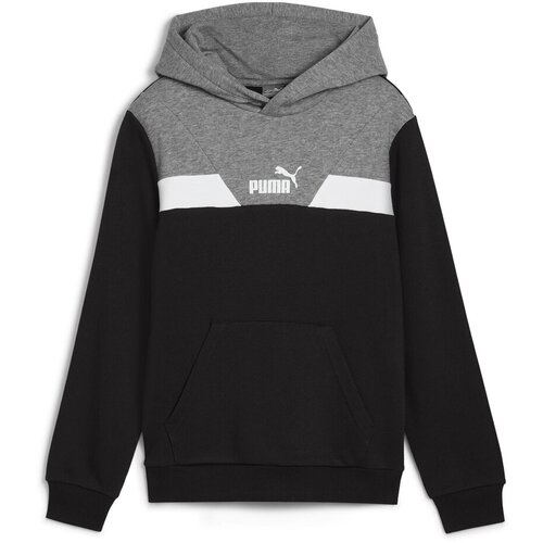 Puma POWER COLORBLOCK HOODIE TR Crna Slike