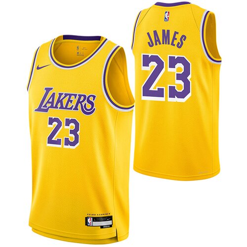 Nike lebron james 23 los angeles lakers icon edition swingman otroški dres Cene