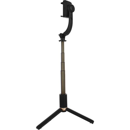 AVIZAR 3-v-1 bluetooth pametna palica s stojalom in 1-osnim stabilizatorjem, serija Q08 - crna, (20630956) Slike