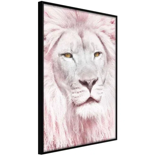  Poster - Dreamy Lion 30x45